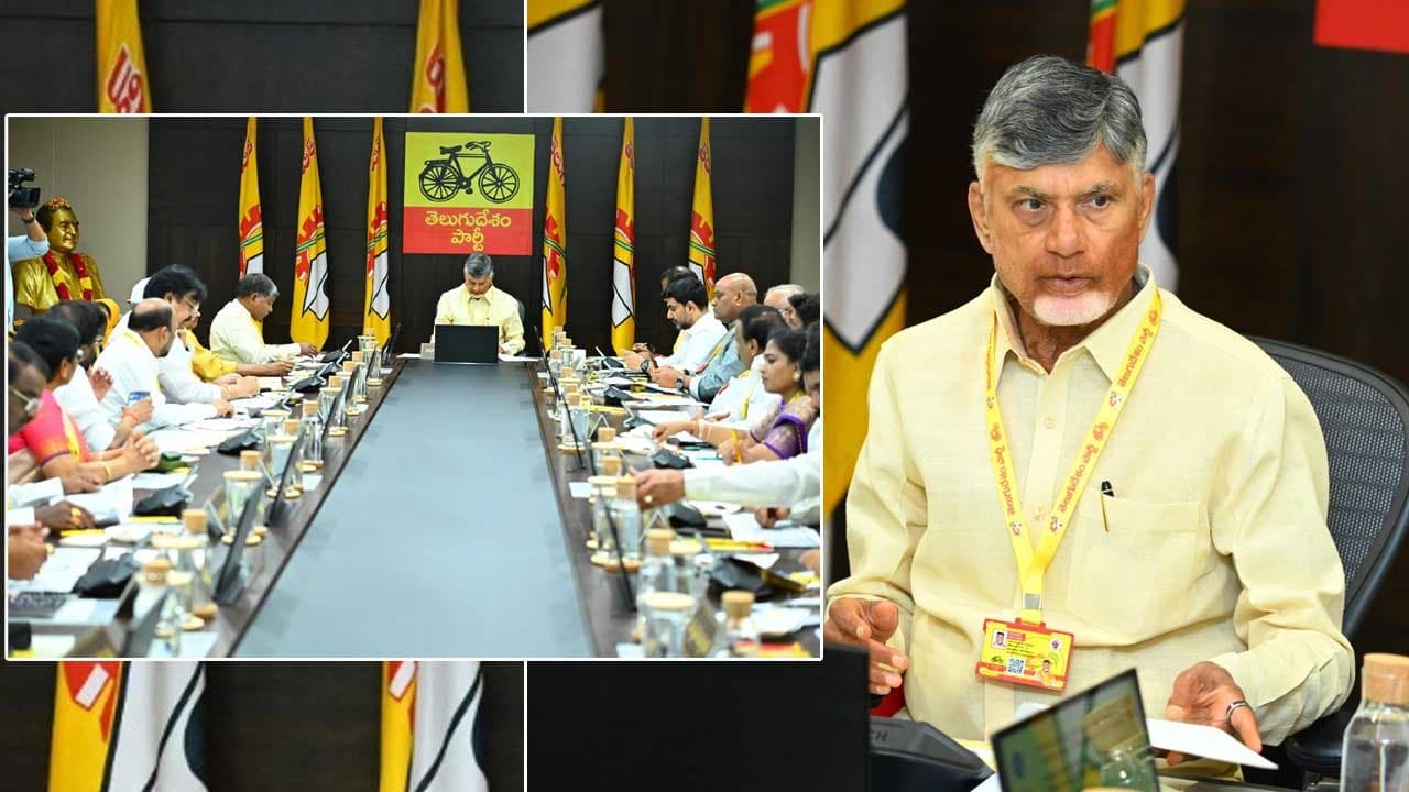 టీడీపీ కొత్త కమిటీలు: పొలిట్‌బ్యూరో, జాతీయ, రాష్ట్ర స్థాయి కీలక నియామకాలు
