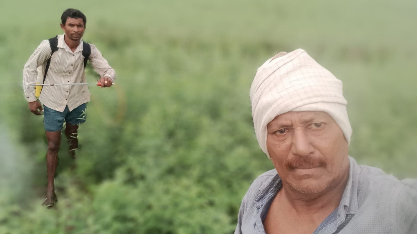 పంటల వైవిధ్యంతో భూమి సారవంతం