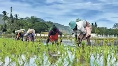 అమరావతి రైతులకు ముఖ్య గమనిక