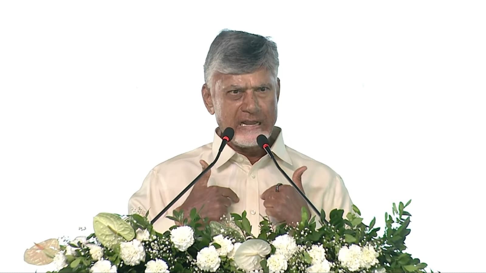 గ్రీన్ ఎనర్జీ కోసం రూ.లక్షా 85 వేల కోట్లు ఖర్చు పెట్టబోతున్నాం :సీఎం చంద్రబాబు