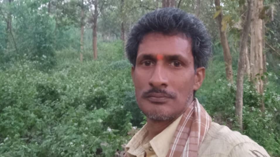 ఇంటికో చెట్టు.. ఊరంతా వనం – పర్యావరణ పరిరక్షణకు మొక్కలు నాటుదాం