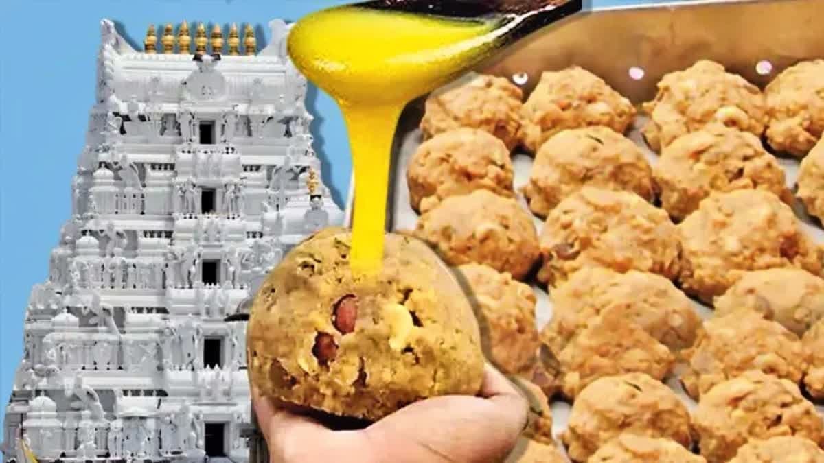 తిరుమల నెయ్యి వివాదంపై కీలక మలుపు..