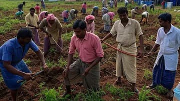 ఉపాధి పనుల్లో వాటర్ బెల్ విధానం అమలు