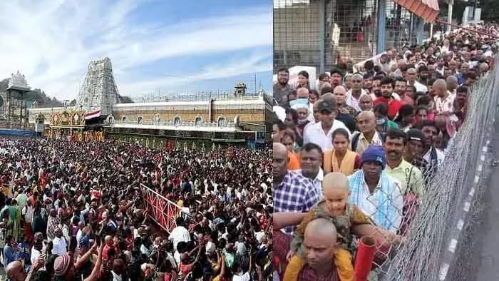 31 కంపార్ట్‌మెంట్లలో వేచివున్న భక్తులు
