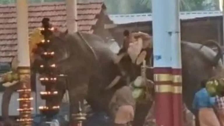 కేరళ ఆలయ ఉత్సవంలో ఏనుగు బీభత్సం