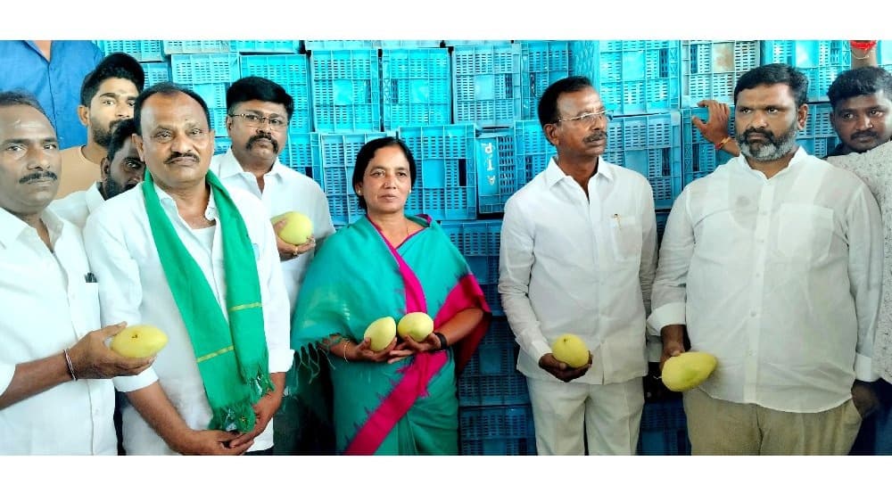 కక్కాలపల్లి మామిడి మార్కెట్‌ను పరిశీలించిన సునీతమ్మ