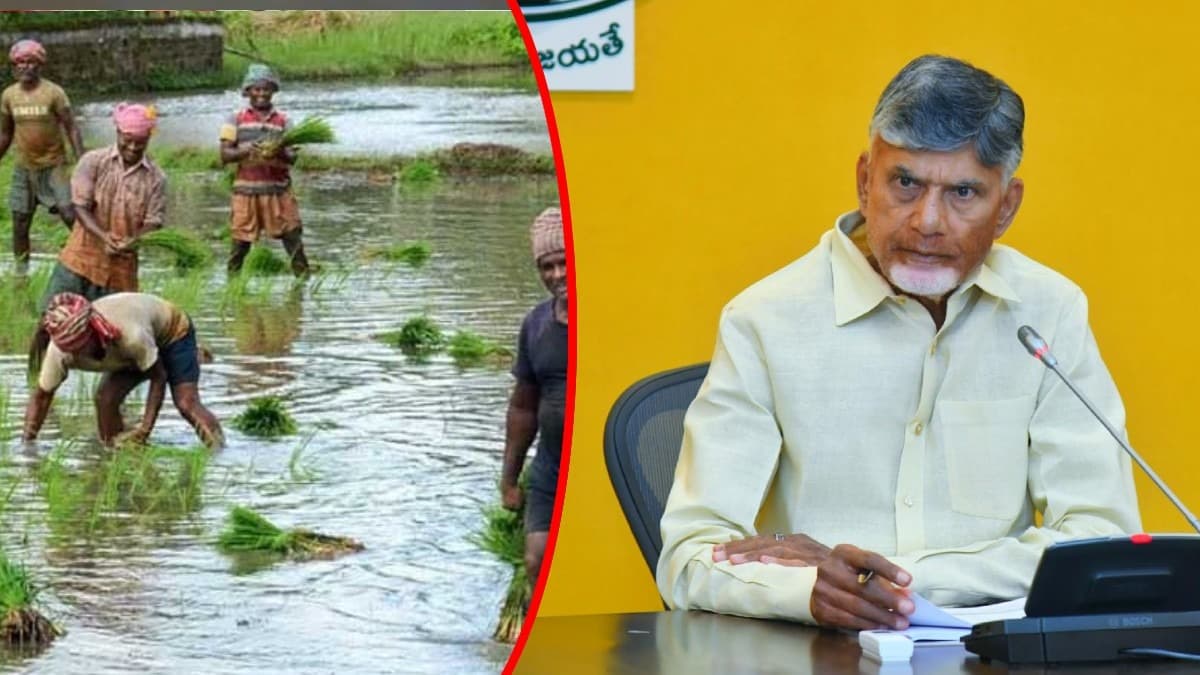 రైతుల పంటల కొనుగోలుపై చంద్రబాబు సమీక్ష