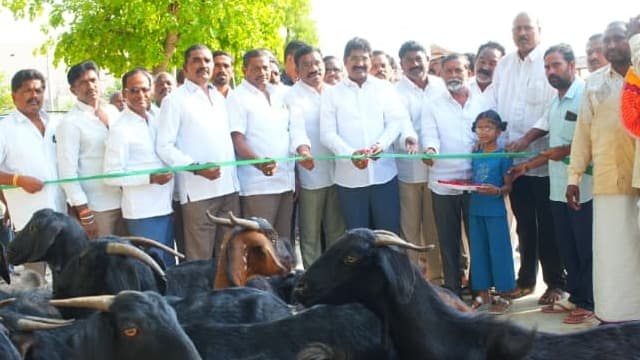 గొర్రెలు మరియు మేకల సంతను ప్రారంభించిన ఎమ్మెల్యే ముత్తుముల