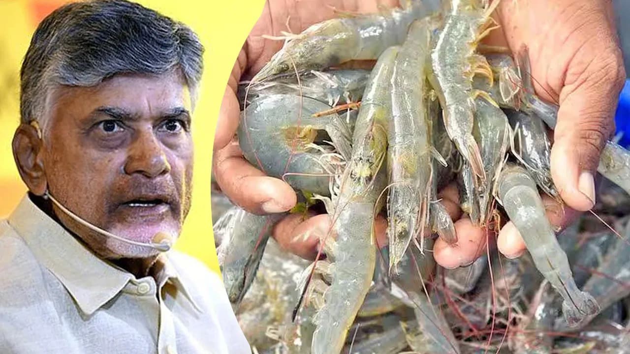 ఆక్వా రైతుల కోసం కేంద్రానికి చంద్రబాబు లేఖ