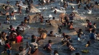 తమిళనాడులో సాంప్రదాయ ఫిషింగ్‌ ఫెస్టివల్‌