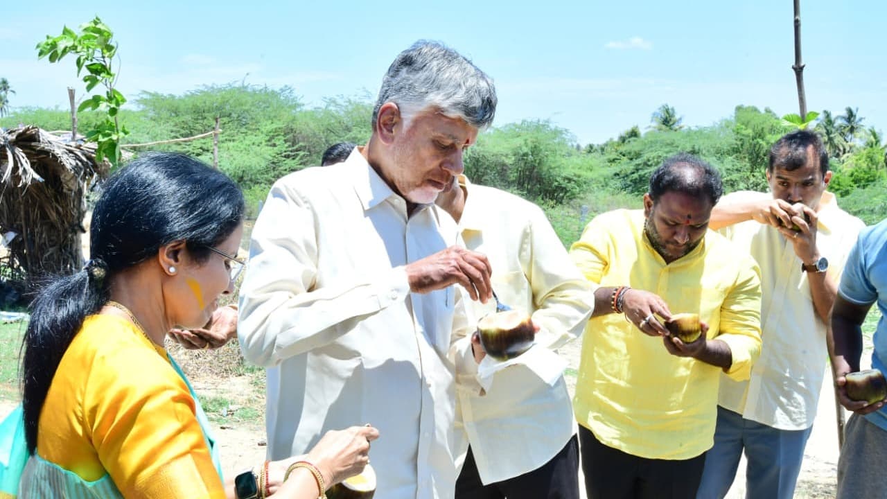 తాటిముంజలు రుచిచూసిన చంద్రబాబు..