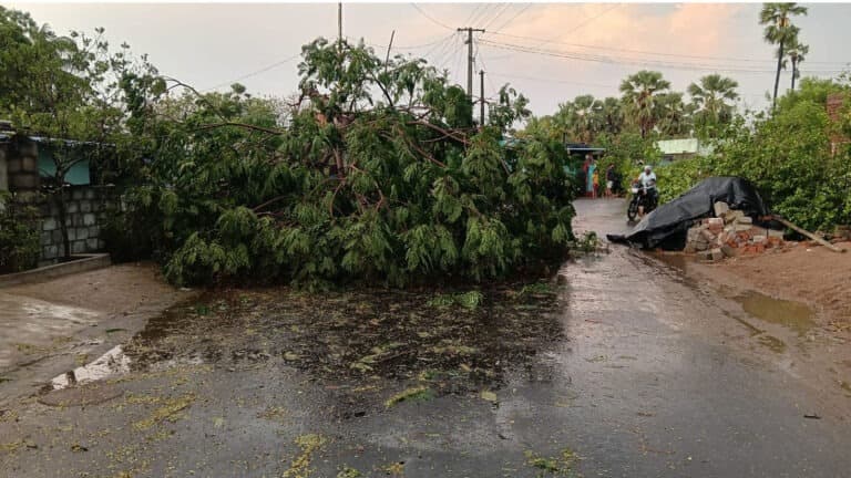 పల్నాడు జిల్లా క్రోసూరు మండలం అనంతవరంలో గాలివాన బీభత్సం