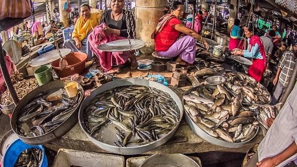 త్రిపురలో చేపల ఉత్పత్తి జోరు..