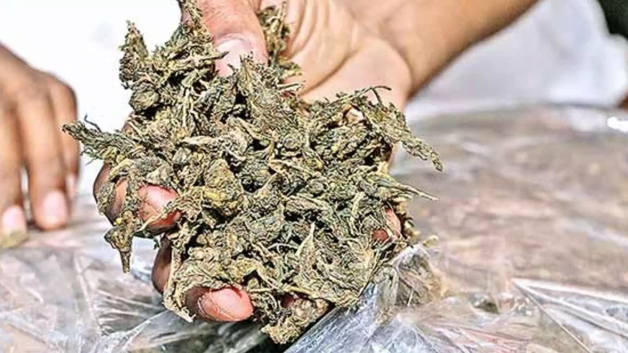 విశాఖలో గంజాయి తరలిస్తున్న నలుగురు అరెస్ట్