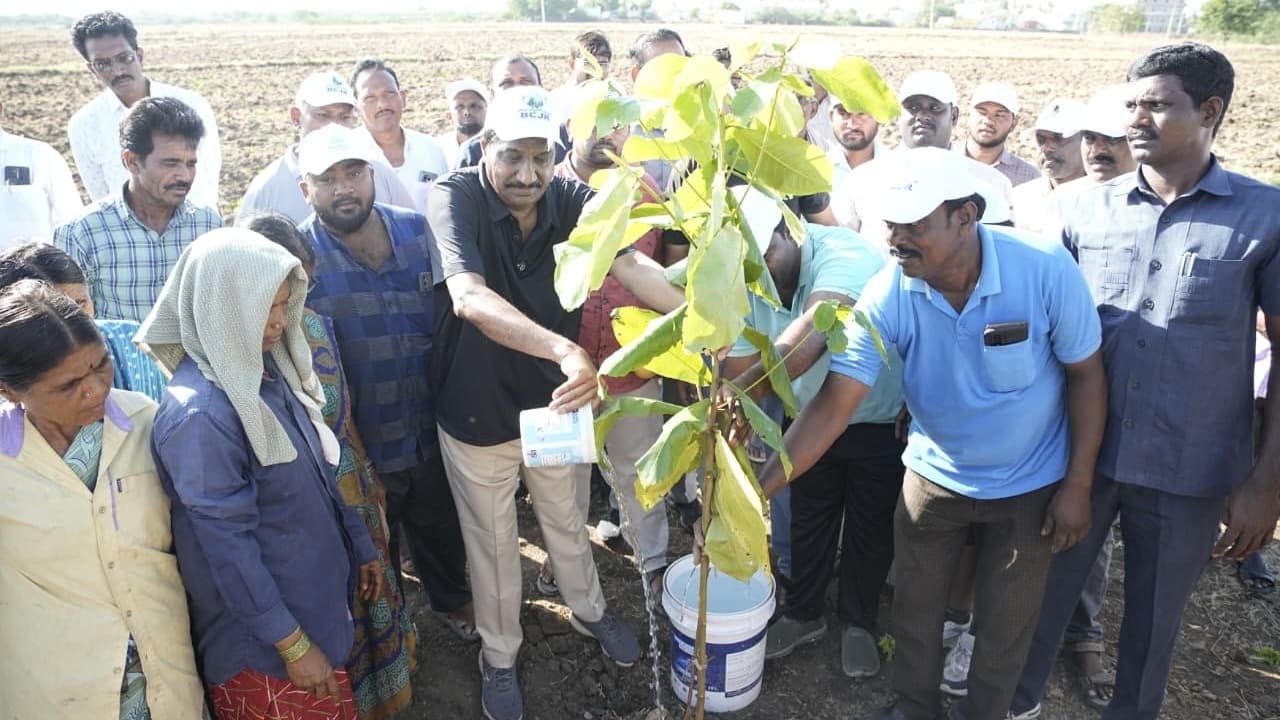 బనగానపల్లెలో మొక్కలు నాటిన బీసీ జనార్దన్ రెడ్డి