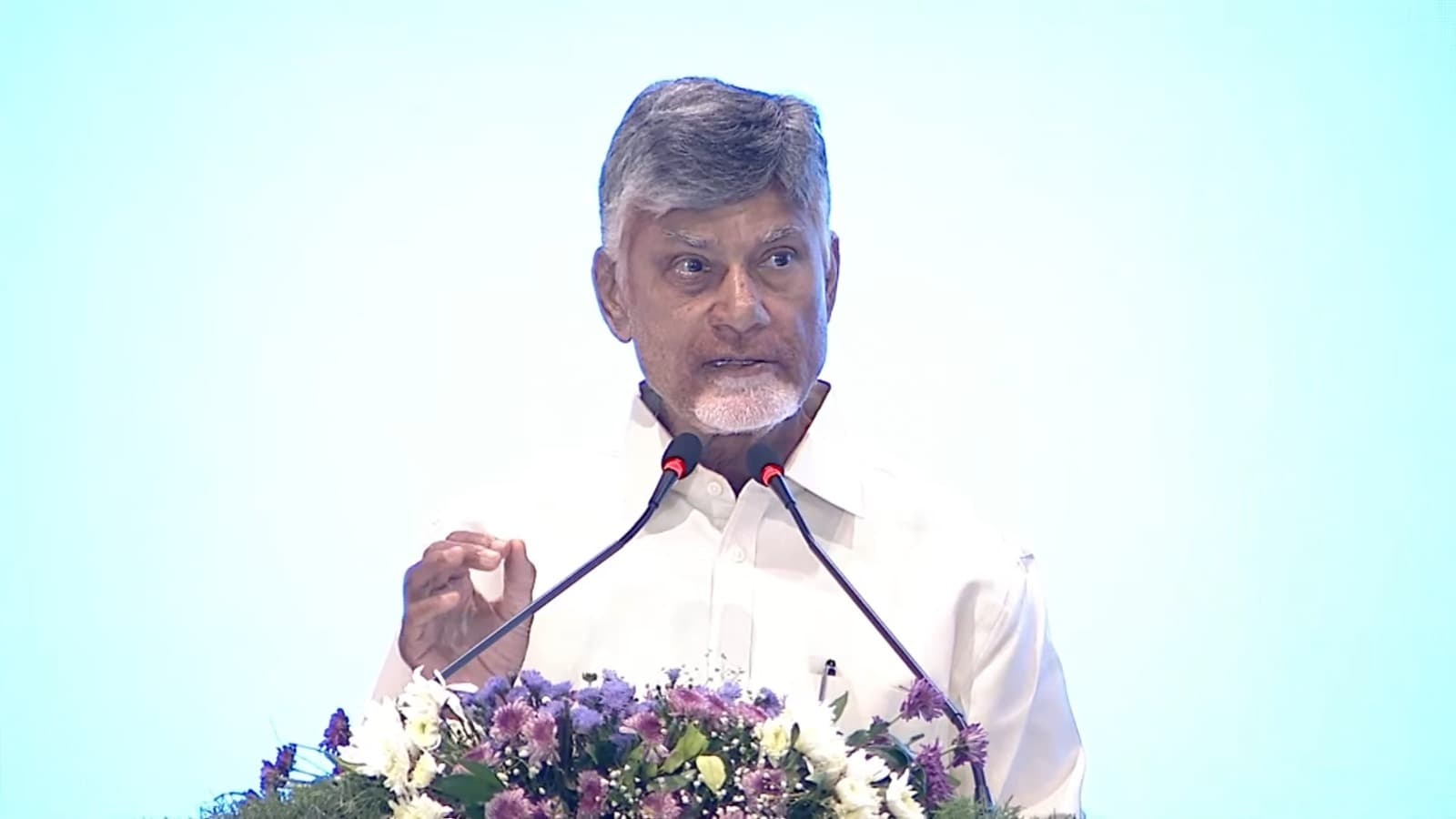 ఆక్వా రంగానికి గ్లోబల్ హబ్‌గా ఏపీ లక్ష్యం : చంద్రబాబు
