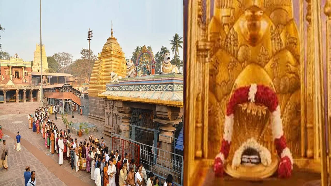 శ్రీశైలం మల్లన్న ఆలయానికి భక్తుల వెల్లువ