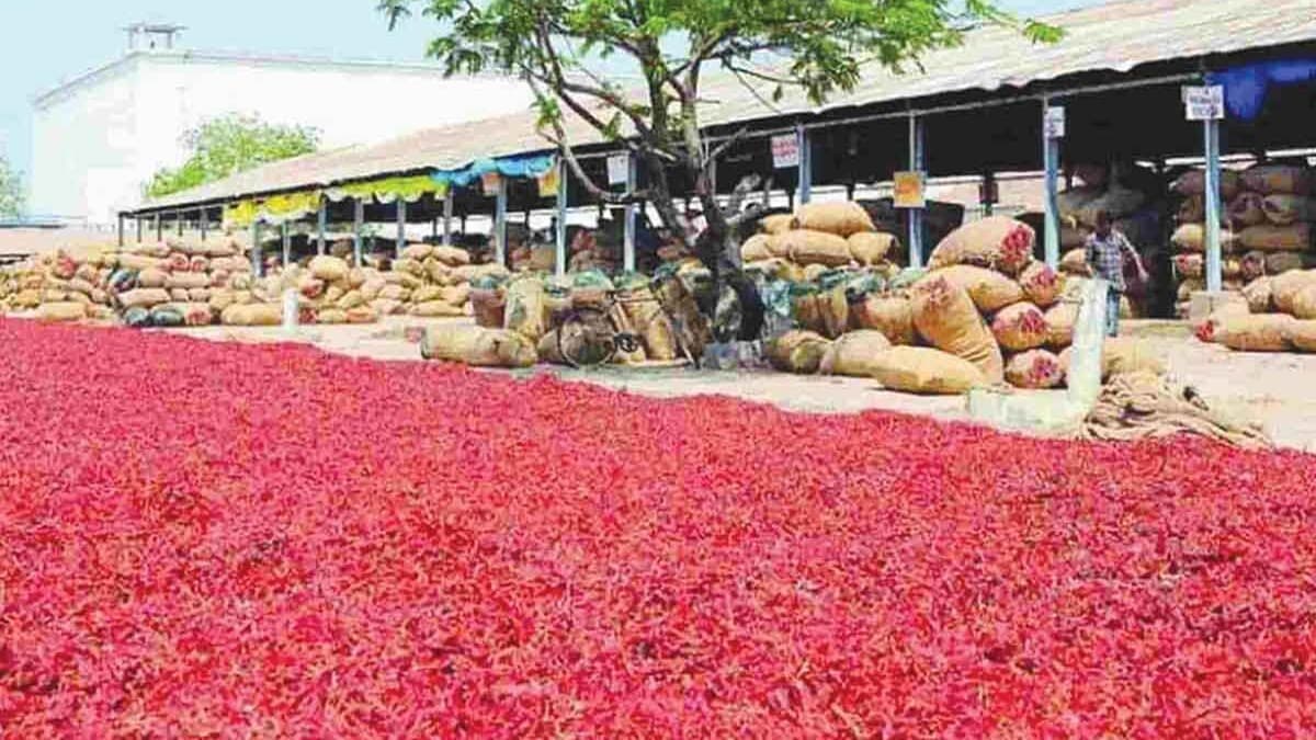 గుంటూరు మిర్చి మార్కెట్‌లో ధరలివే