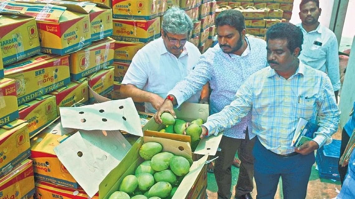 మామిడి పండ్లు తిన్న వెంటనే అస్వస్థత.. ఒకే కుటుంబంలో విషాదం.. యువతి మృతి కలకలం