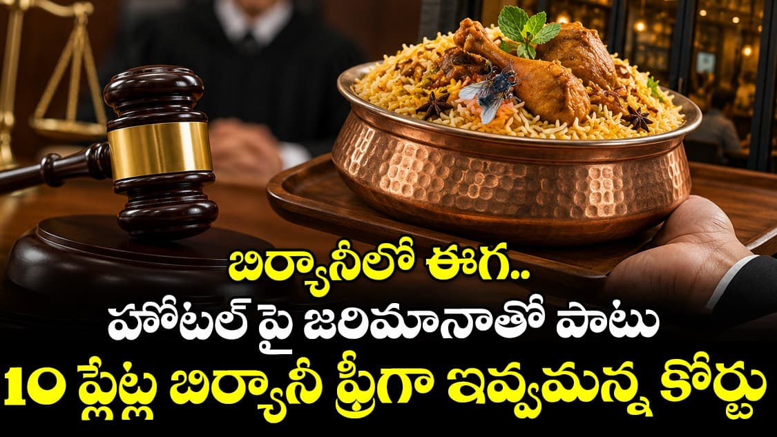 చికెన్ బిర్యానీలో ఈగ.. కస్టమర్‌కు రూ.13 వేల పరిహారం, 10 ప్లేట్ల ఉచిత బిర్యానీ ఇవ్వాలని ఆదేశం