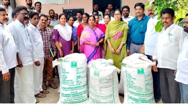 సబ్సిడీ వేరుశెనగ విత్తనాల పంపిణీకి సిద్ధమైన ప్రభుత్వం