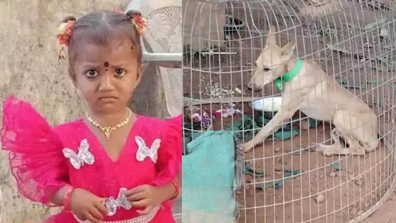 జాహ్నవి కోసం ఆరు రోజుల గాలింపు.. మిస్టరీ వీడేదెప్పుడు?