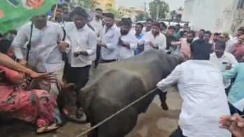 నందిగామలో వైసీపీ శ్రేణుల అత్యుత్సాహం..!