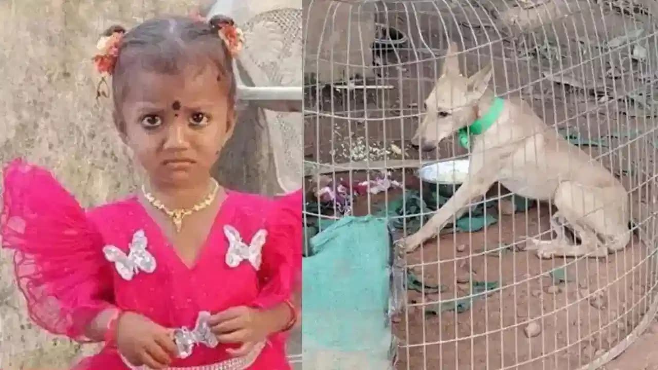 కాకినాడలో పెంపుడు కుక్క పోస్టుమార్టం పూర్తి.. ల్యాబ్ నివేదికపై ఉత్కంఠ