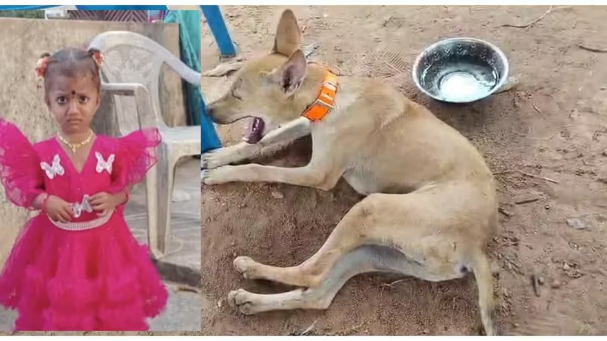 8 రోజులుగా లభించని చిన్నారి జాహ్నవి ఆచూకీ