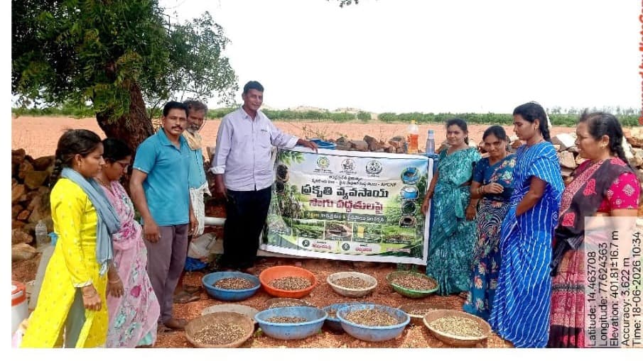 పర్వతదేవరపల్లిలో పీఎండీఎస్ విత్తనాల విత్తన కార్యక్రమం నిర్వహణ