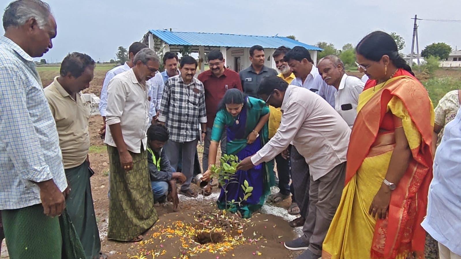 పర్యావరణ పరిరక్షణకు ప్రతి ఒక్కరూ మొక్కలు నాటాలి: తంగిరాల సౌమ్య