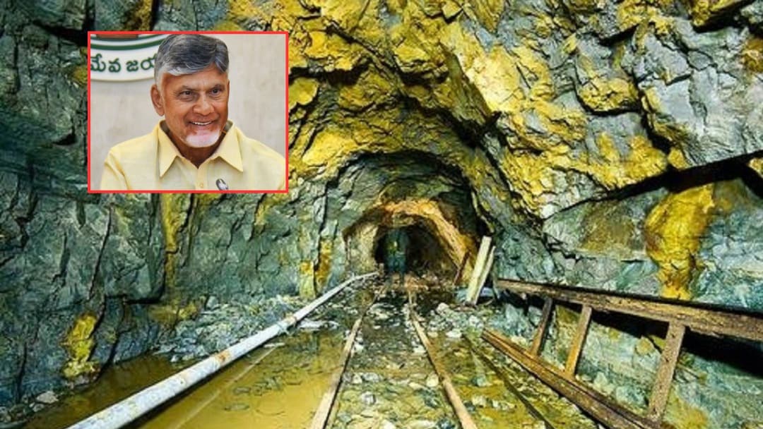 ఈ నెల 24న కర్నూలు జిల్లాలో సీఎం చంద్రబాబు పర్యటన