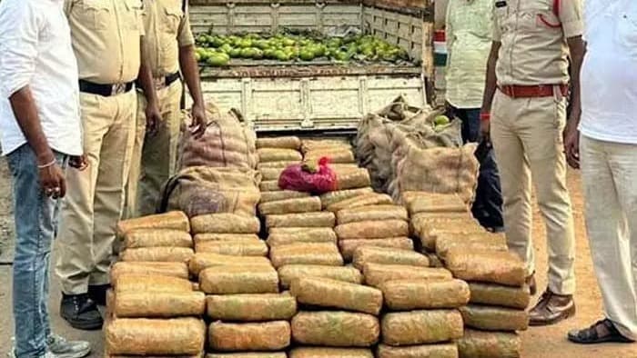 అల్లూరిలో భారీ గంజాయి పట్టివేత..
