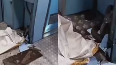 ట్రైన్ కోచ్‌లో నాగుపాము కలకలం..