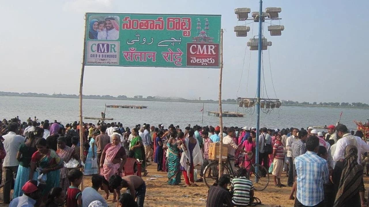 నెల్లూరులో నేటి నుంచి రొట్టెల పండుగ..