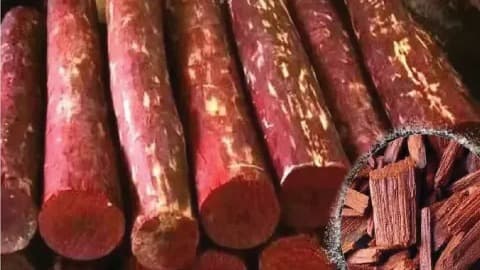 పోరుమామిళ్లలో ఎర్రచందనం అక్రమ రవాణా..
