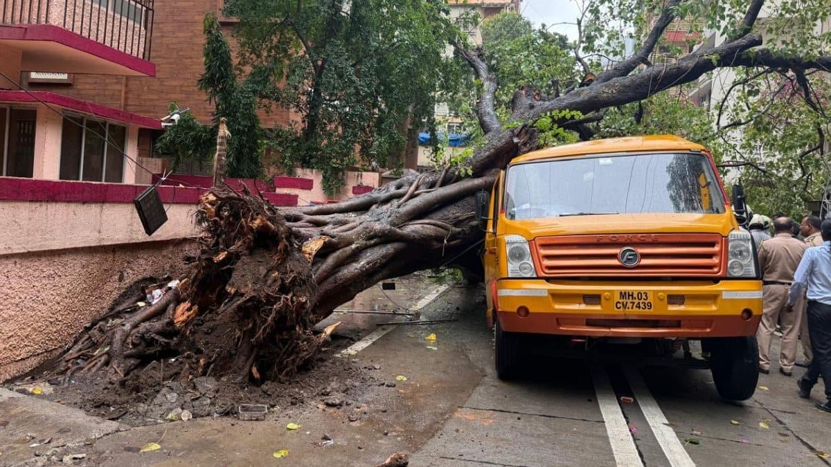 ముంబైలో స్కూల్ బస్సుపై చెట్టు పడి ప్రమాదం..