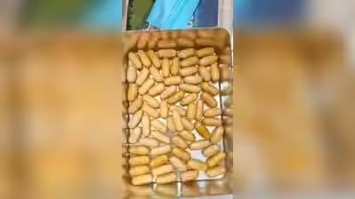 చెన్నై ఎయిర్‌పోర్టులో రూ.15 కోట్ల కొకైన్ సీజ్..