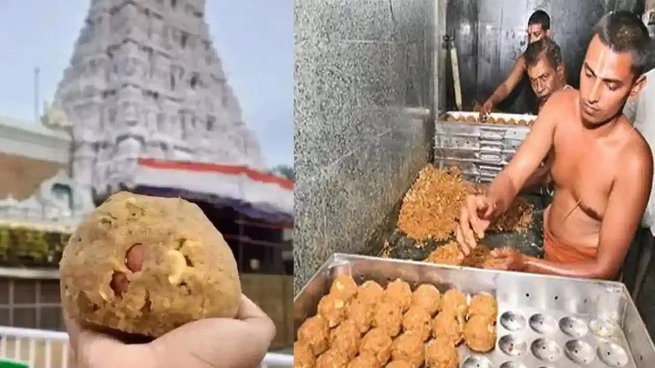 జూన్‌లో రికార్డు స్థాయికి చేరిన శ్రీవారి లడ్డూ విక్రయాలు