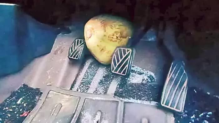 కొబ్బరి బొండంతో ఘోర ప్రమాదం.. ఇద్దరు మృతి