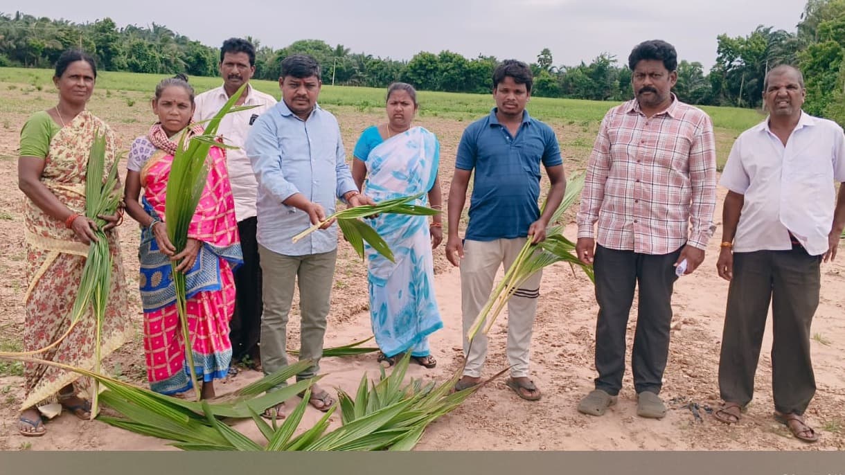 అర్ధరాత్రి కొబ్బరి తోట నరికివేతపై చర్యలు కోరిన రైతులు