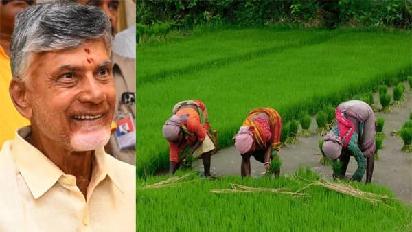 ఖరీఫ్, రబీ పంటల బీమాపై ఏపీ ప్రభుత్వం కీలక ఉత్తర్వులు