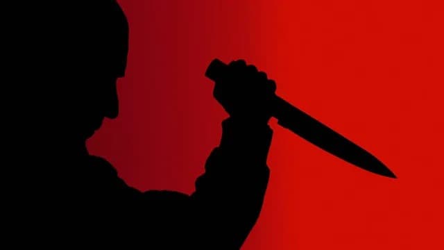 నెల్లూరులో కత్తిపోట్ల కలకలం..