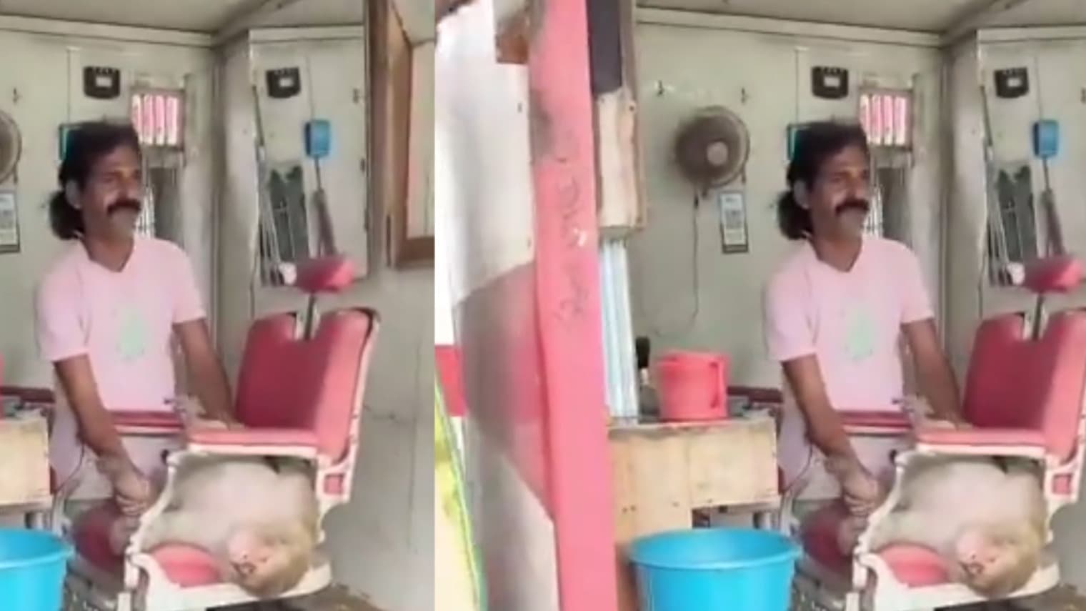 సెలూన్‌లో కోతి సందడి