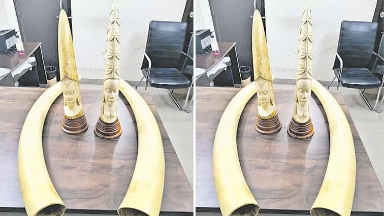 హైదరాబాద్‌లో డీఆర్‌ఐ భారీ ఆపరేషన్